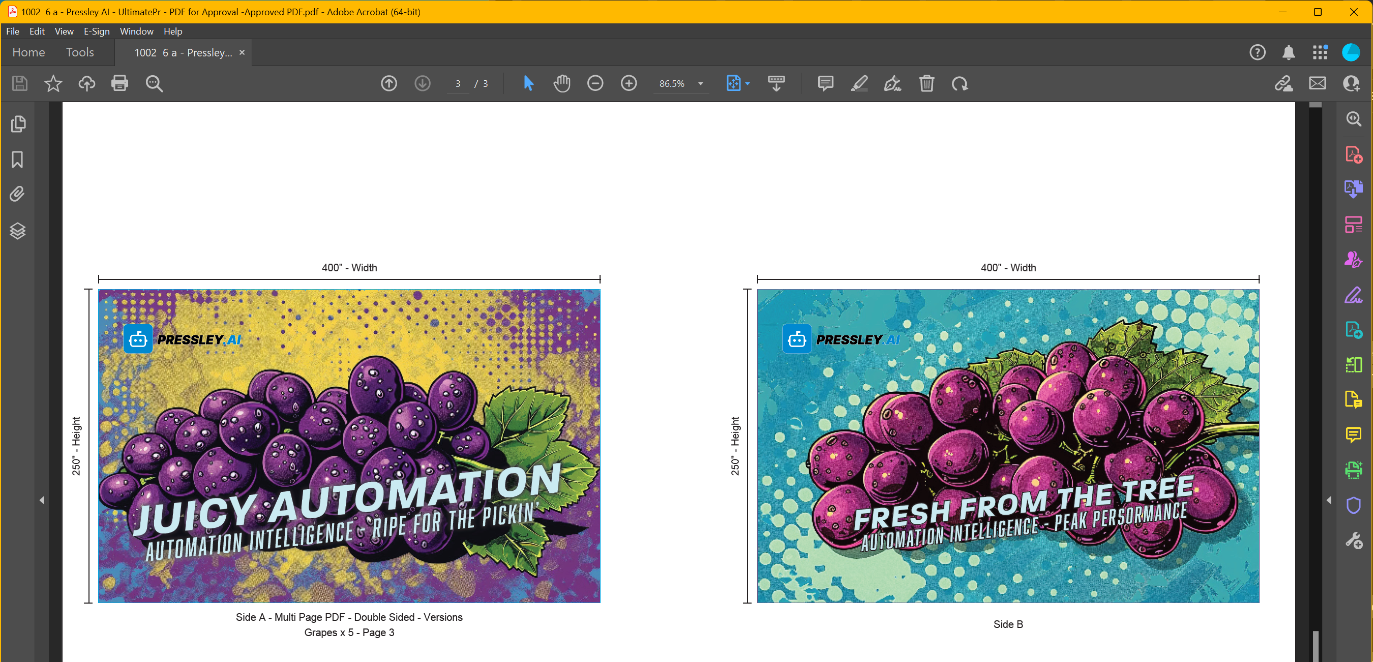 Proof page 3 showing Grape version name and quantity beside artwork
